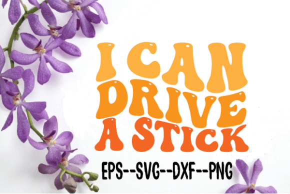 I Can Drive a Stick Retro Wavy SVG Review for Real Projects